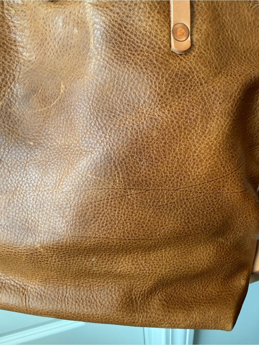 Meanwhile Back on the Farm Convertible Shoulder Bag / Backpack - Picture 13 of 16
